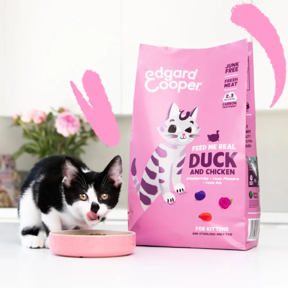 Hot Kattenvoer Kitten Eend - Kip 2 kg Kattenvoer