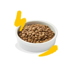 Kattenvoer<Edgard & Cooper Kattenvoer Adult Kalkoen - Kip 2 kg