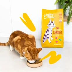 Kattenvoer<Edgard & Cooper Kattenvoer Adult Kalkoen - Kip 2 kg