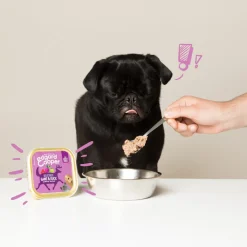 Kuipje Vers Vlees Hondenvoer Wild - Eend 300 gr^Edgard & Cooper Outlet