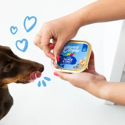 New Kuipje Vers Vlees Hondenvoer Zalm - Kalkoen 300 gr Hondenvoer