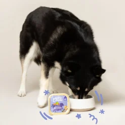 Hondenvoer<Edgard & Cooper Kuipje Vers Vlees Hondenvoer Rund - Eend 150 gr