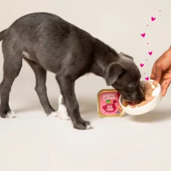 Kuipje Vers Vlees Puppy Hondenvoer Eend - Kip 150 gr^Edgard & Cooper Outlet