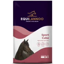Paard<Equilannoo Sport Cube 20 kg