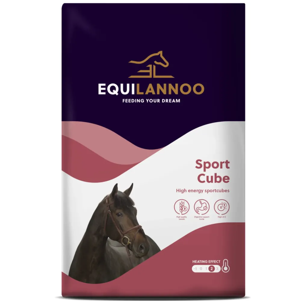Paard<Equilannoo Sport Cube 20 kg