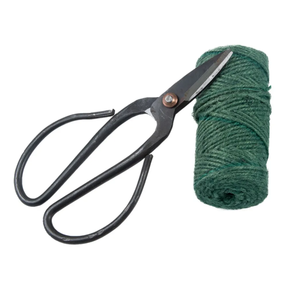 Geschenkset Touw En Schaar Groen Alles Voor Kamerplanten|Geschenksets