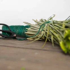 Geschenkset Touw En Schaar Groen Alles Voor Kamerplanten|Geschenksets