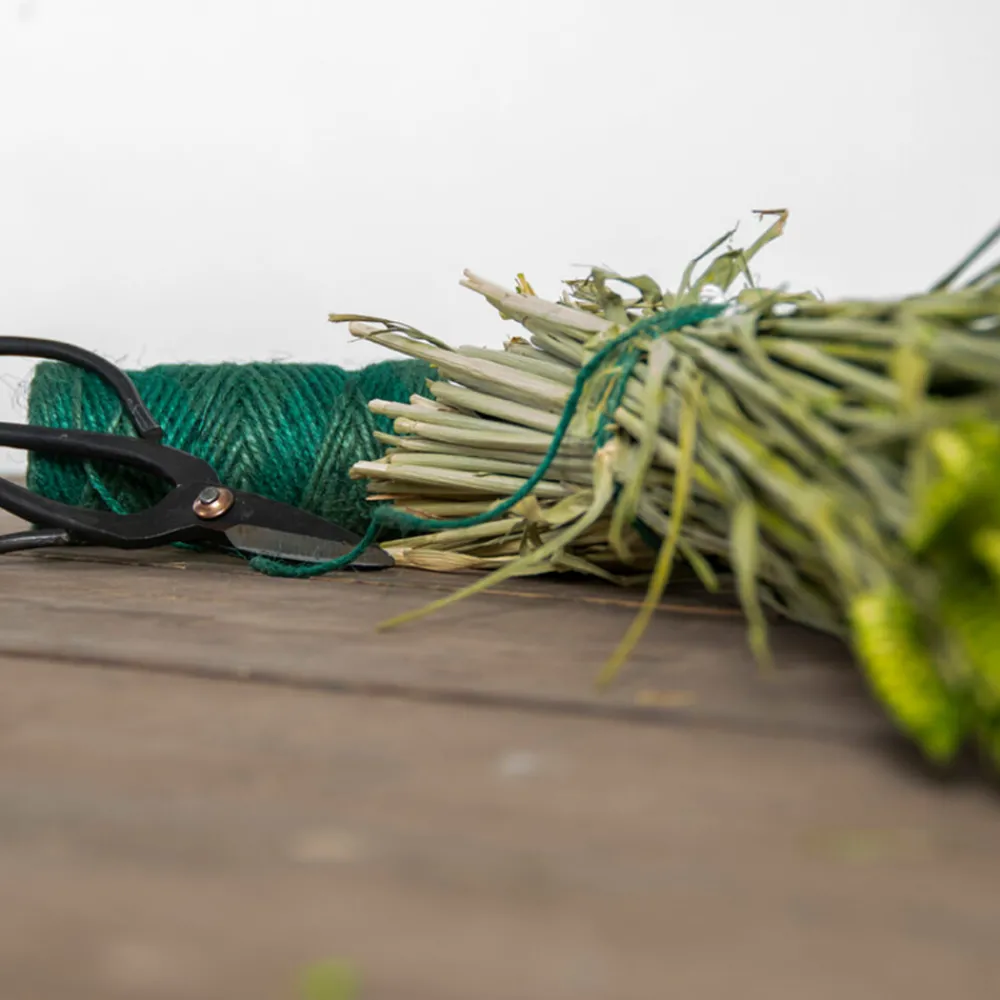 Geschenkset Touw En Schaar Groen Alles Voor Kamerplanten|Geschenksets
