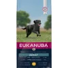 Hondenvoer<Eukanuba Active Adult Large Hondenvoer 12 kg