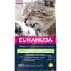 Adult Hairball Control Kattenvoer 2 kg^Eukanuba Clearance