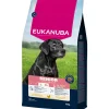 Hondenvoer<Eukanuba Life Care Dog Senior Large Hondenvoer Chicken 15 kg