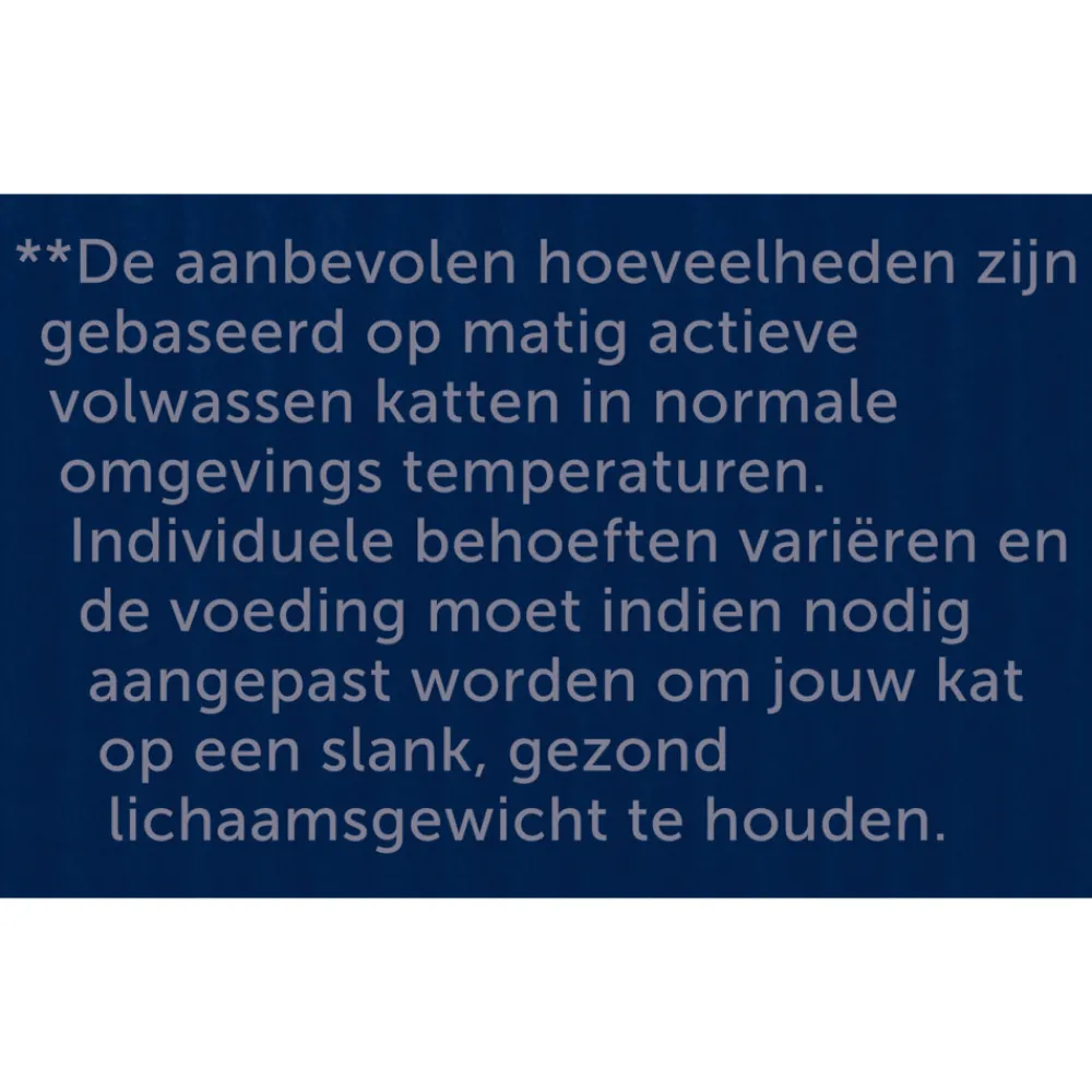 Discount Elke Dag Feest Mix Selectie in Gelei 24 x 85 gr Kattenvoer