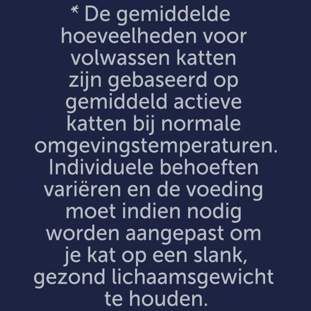 Elke Dag Feest Vis Selectie in Gelei 12 x 85 gr^Felix Online