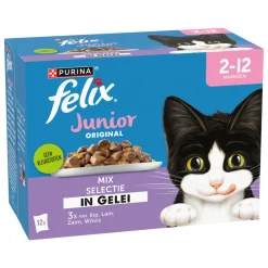 Best Original Pouch in Gelei Junior Mix 12 stuks Kattenvoer