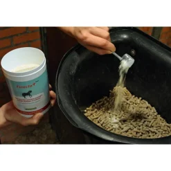 Paard<Finecto+ Horse Oral 600 gr