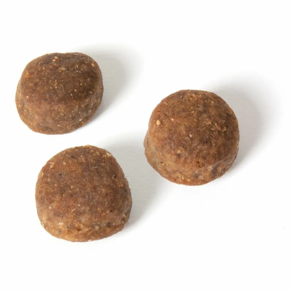 Kattenvoer<Fokker Fresh Meat Kattenvoer Verse Kip 2,5 kg