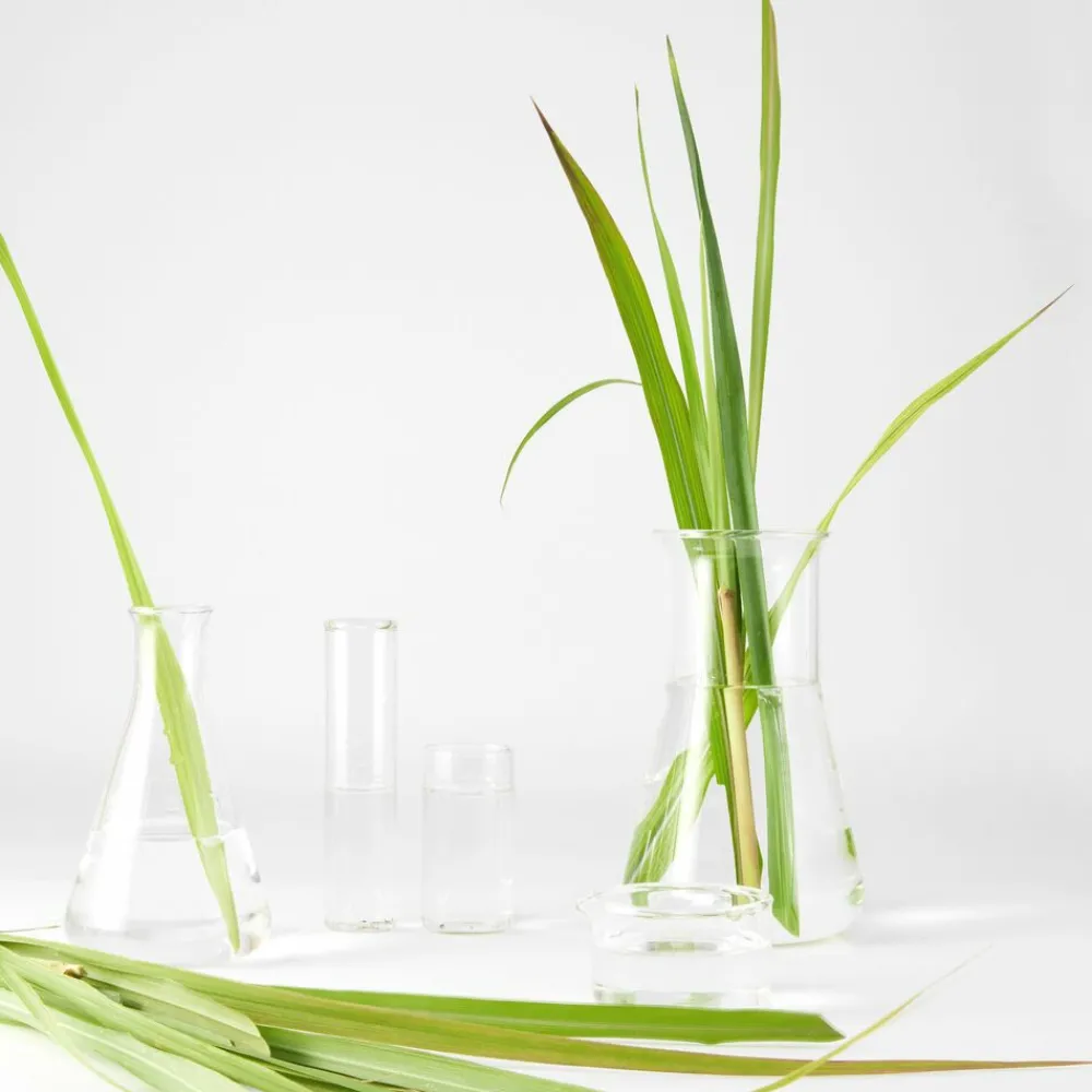 Discount Bio Reinigingsgel Citroengras Detox 150 ml Reiniging