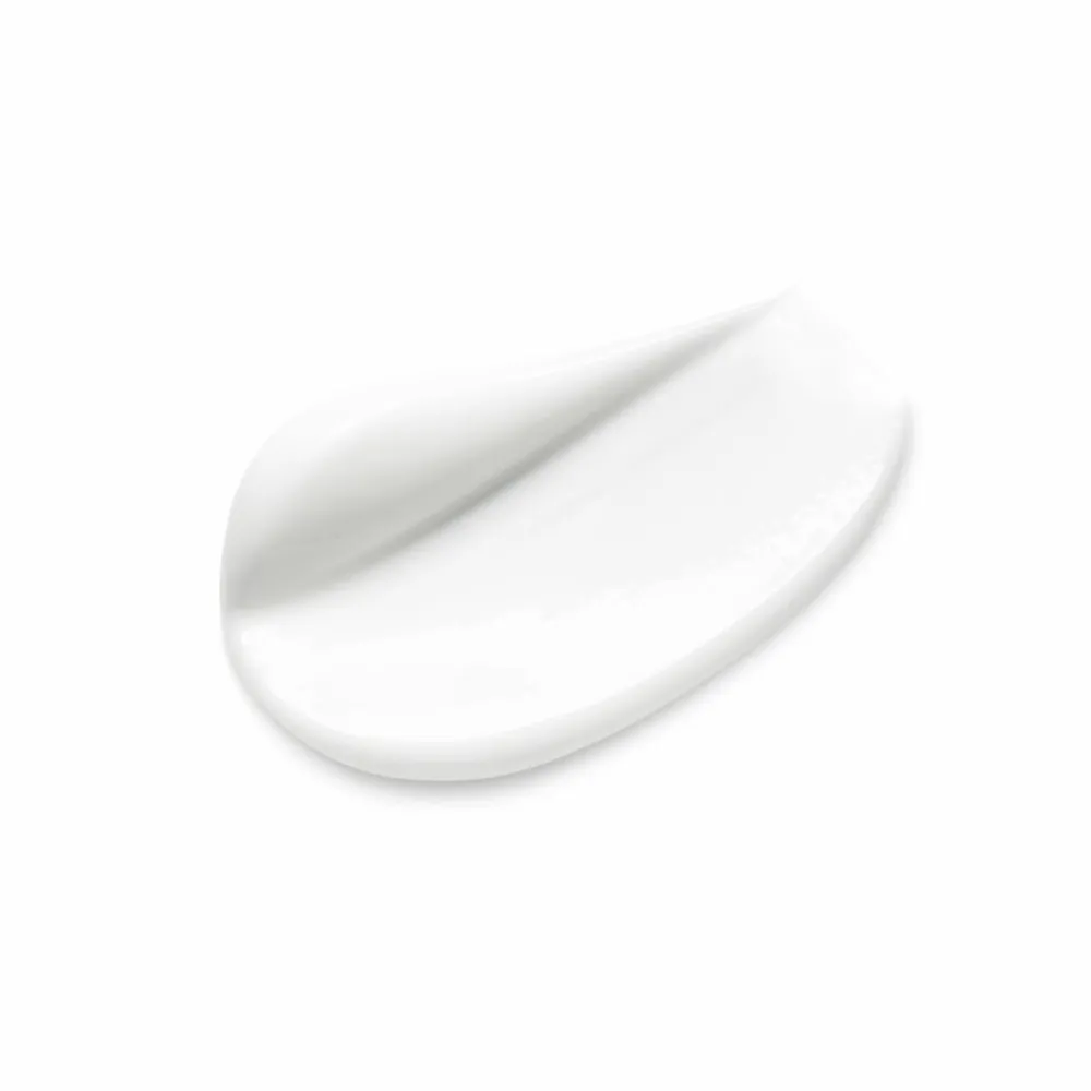 Dag- & Nachtcrème<Garnier SkinActive Rozenwater Botanische Dagcrème 50 ml