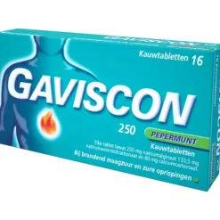 Maag & Darm<Gaviscon 250 mg Pepermunt Kauwtabletten 16 tabletten