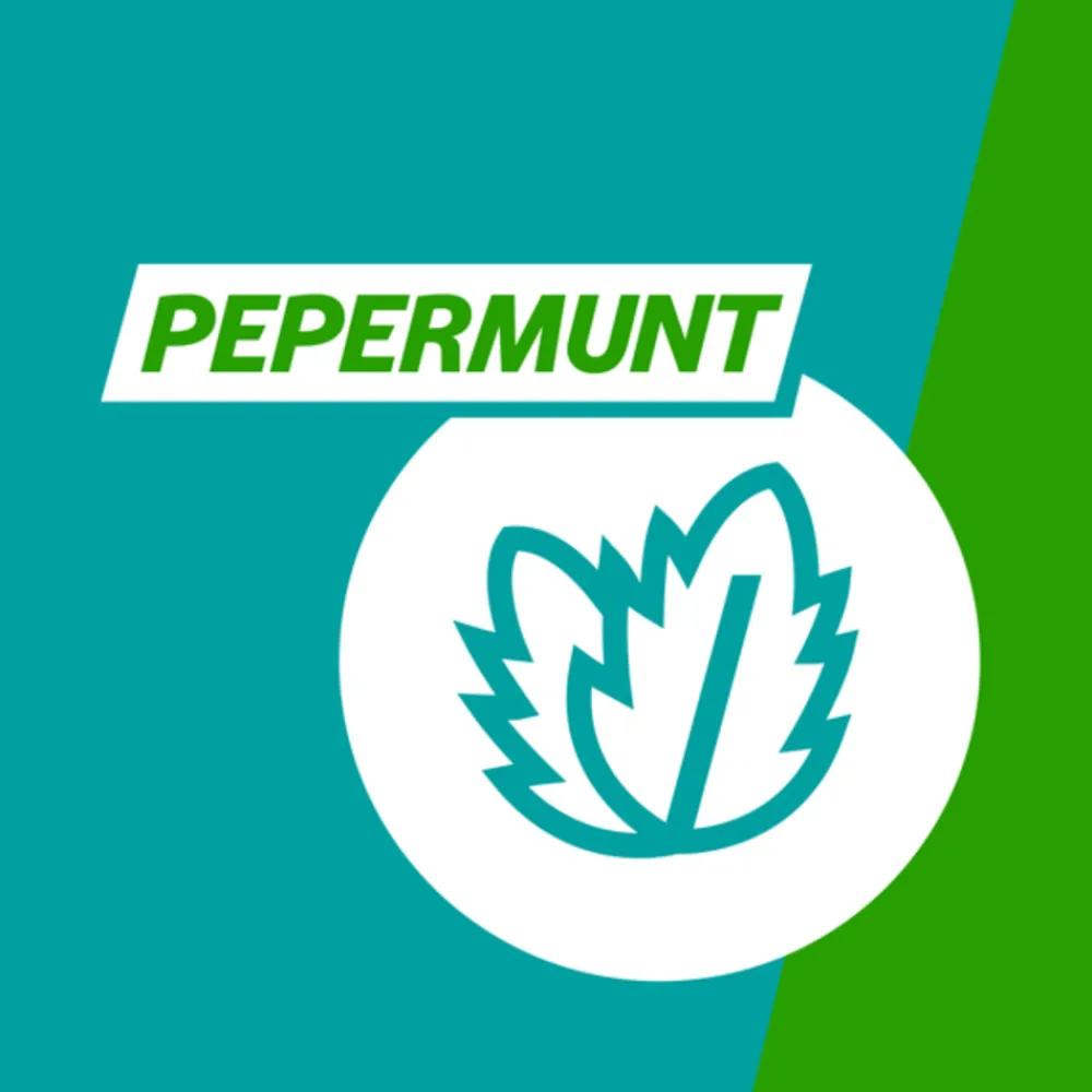 Maag & Darm<Gaviscon 250 mg Pepermunt Kauwtabletten 16 tabletten