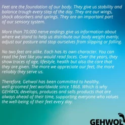 Voetverzorging<Gehwol Voetcreme 75 ml