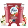 Vegan Geurkaars Cosy Apple & Cinnamon 100% Raapzaadwax 112 gr^Glade Online