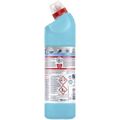 Badkamerartikelen<Glorix Bleek Eucalyptus 750 ml
