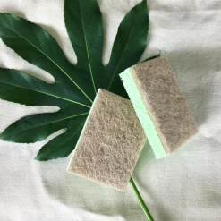 Sponzen<Greenminds Schuursponzen 2 stuks