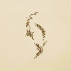 Guilty Pour Femme Eau de Parfum 90 ml^Gucci Best