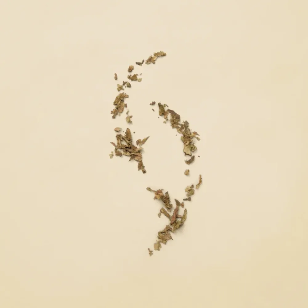 Guilty Pour Femme Eau de Parfum 90 ml^Gucci Best