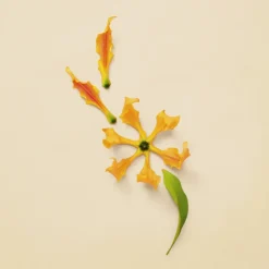 Guilty Pour Femme Eau de Parfum 90 ml^Gucci Best