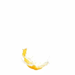 Shampoo Intensieve Stevigheid 250 ml^Guhl Best