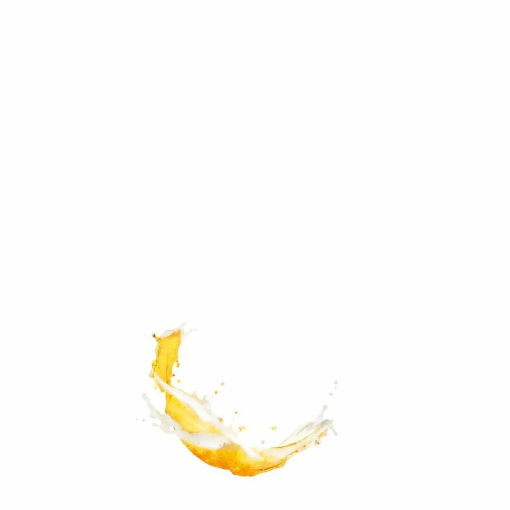 Shampoo Intensieve Stevigheid 250 ml^Guhl Best