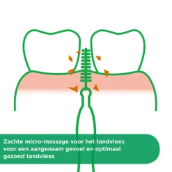 Best Trav-Ler Ragers Paars 1.2mm 4 stuks Flossen & Ragen