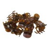 Hot Haarklemmen Mini Bruin 10 stuks Accessoires