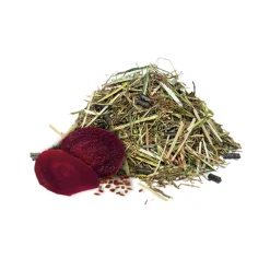 Paardenvoer Complete Care Senior 15 kg^Hartog Sale