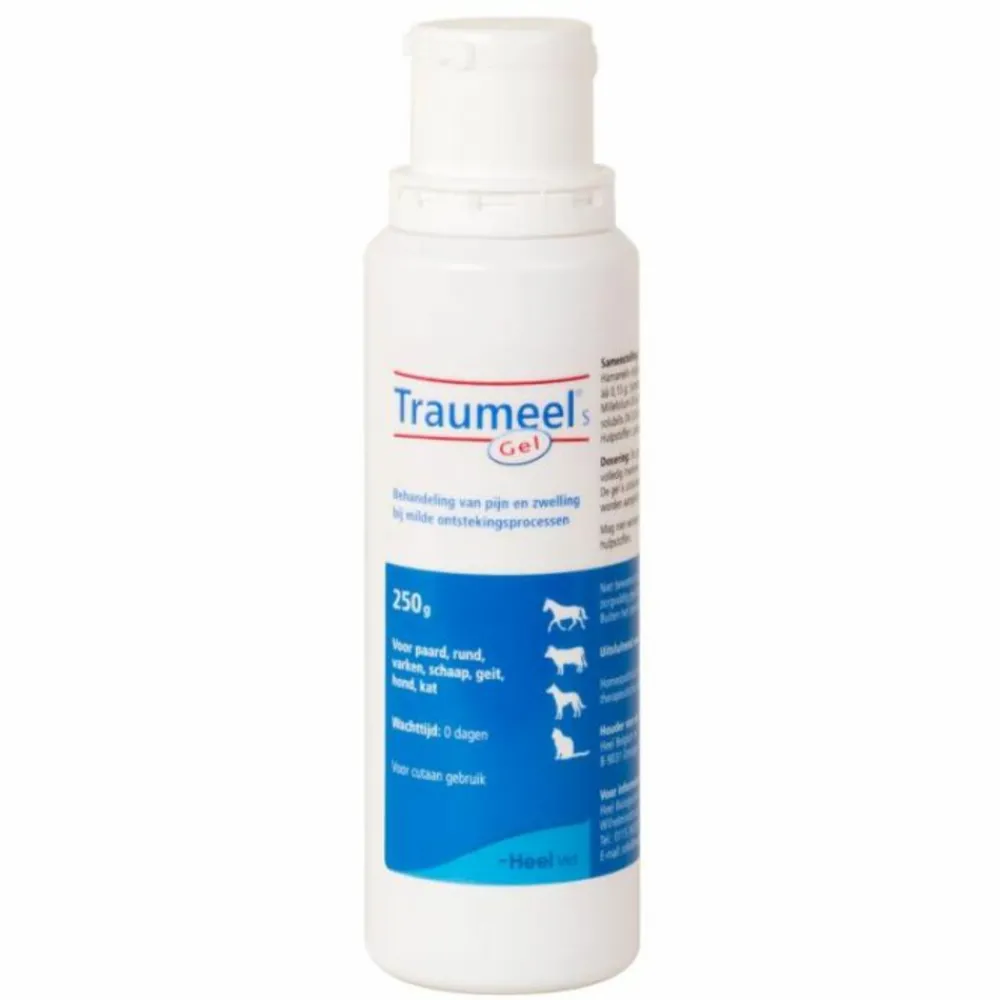 New Traumeel S Veterinair Gel 250 gr Paard