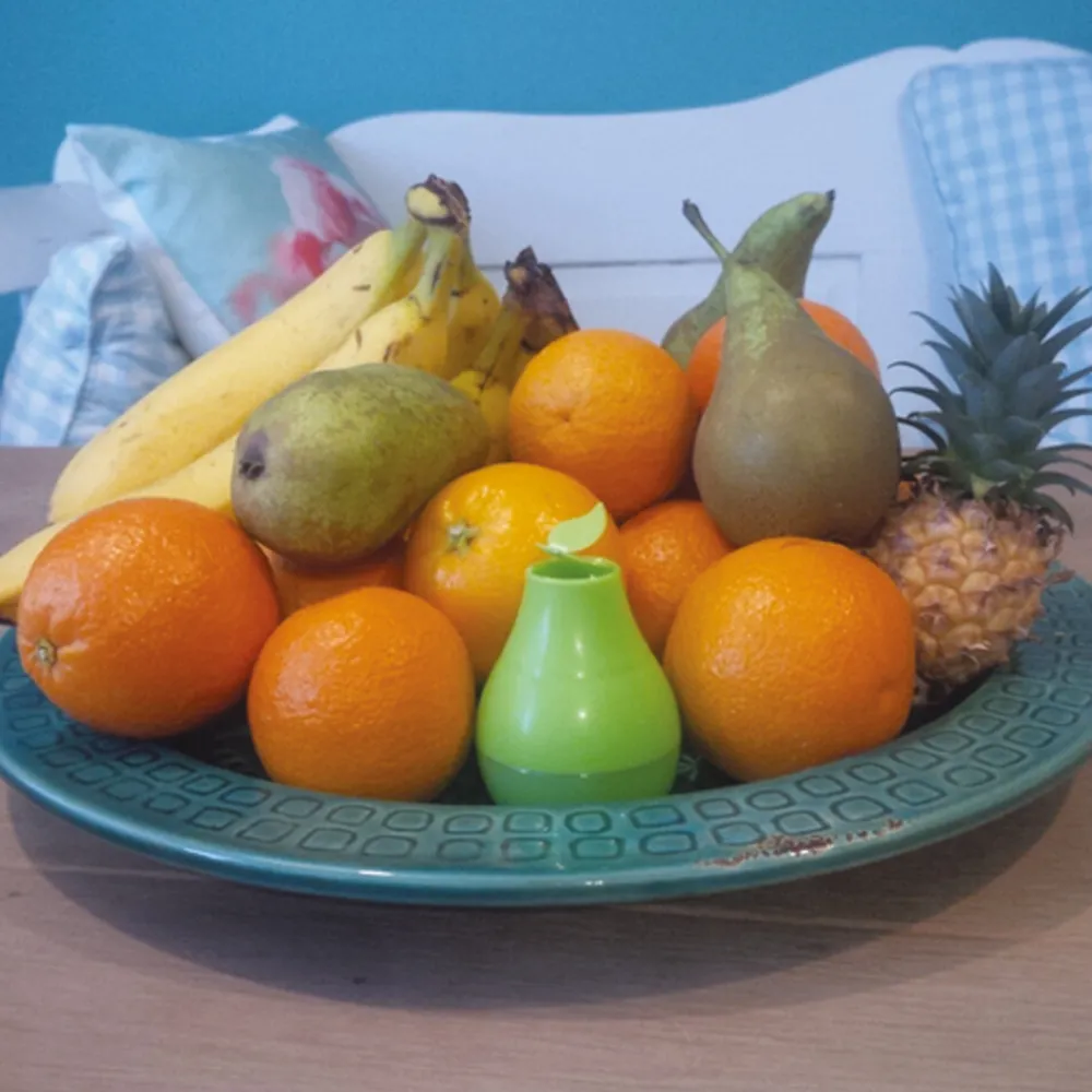 Ongediertebestrijding<HG X Fruitvliegjesval Navulling 40 ml