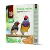 King Tropische Vogels 1 kg^HobbyFirst Sale