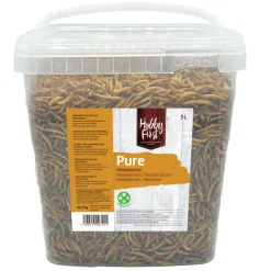 Meelwormen 1 kg^HobbyFirst Clearance