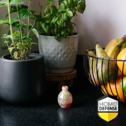 Ongediertebestrijding|Insecten & Ongedierte<Home Defense Fruitvliegjesval