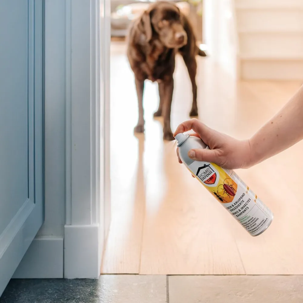 Ongediertebestrijding|Insecten & Ongedierte<Home Defense Mieren en Kruipend Ongedierte Spray 400 ml