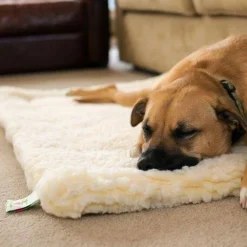 Hondenmat Natural Medium 61 x 93 cm^HuggleHounds Sale