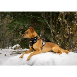 Weekend Warrior Harness Zwart 80 - 100 cm^Hurtta