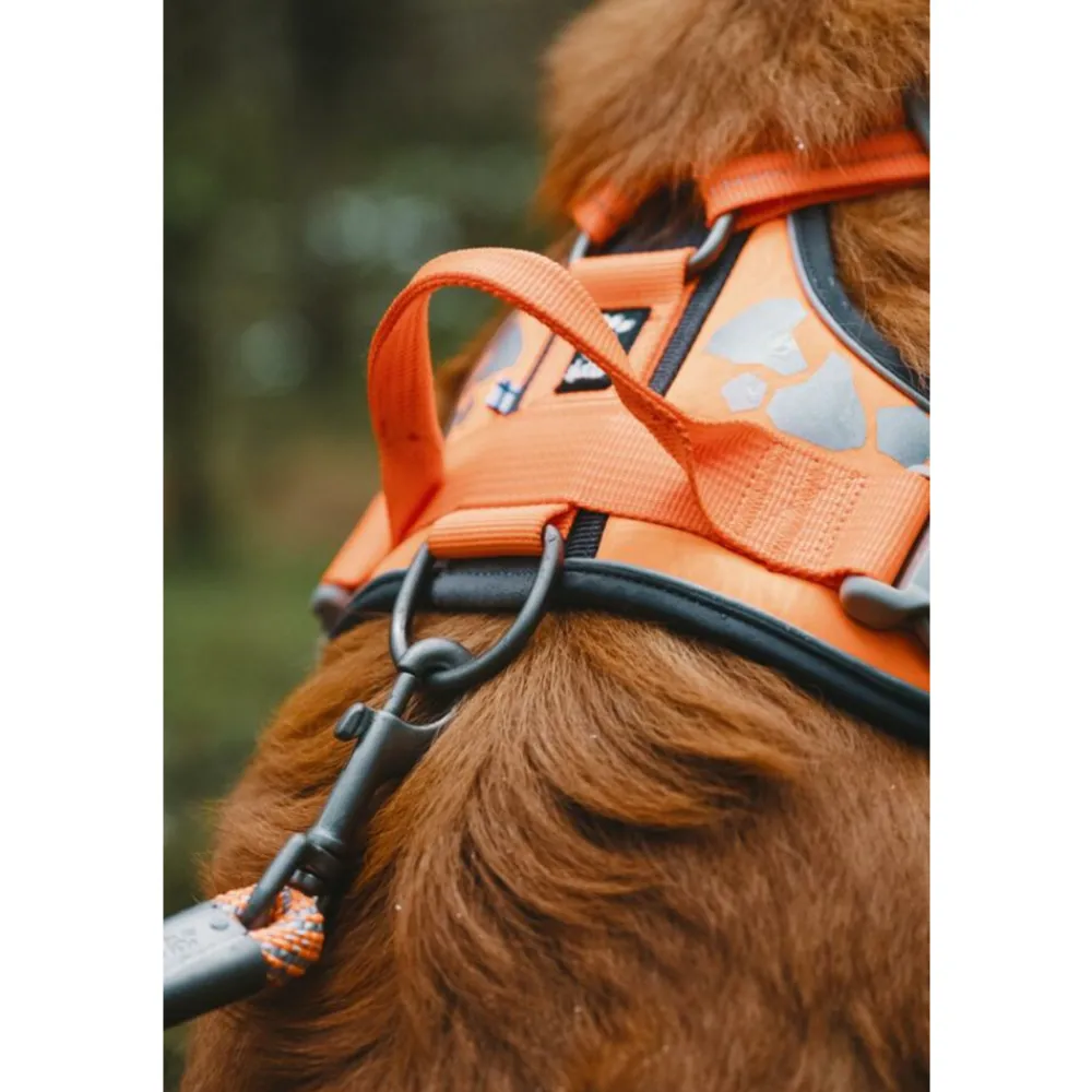 Halsbanden & Uitlaten<Hurtta Weekend Warrior Harness Zwart 60 - 80 cm
