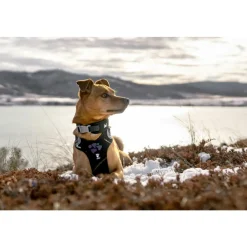 Halsbanden & Uitlaten<Hurtta Weekend Warrior Harness Zwart 60 - 80 cm