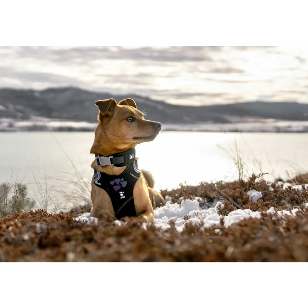 Halsbanden & Uitlaten<Hurtta Weekend Warrior Harness Zwart 60 - 80 cm
