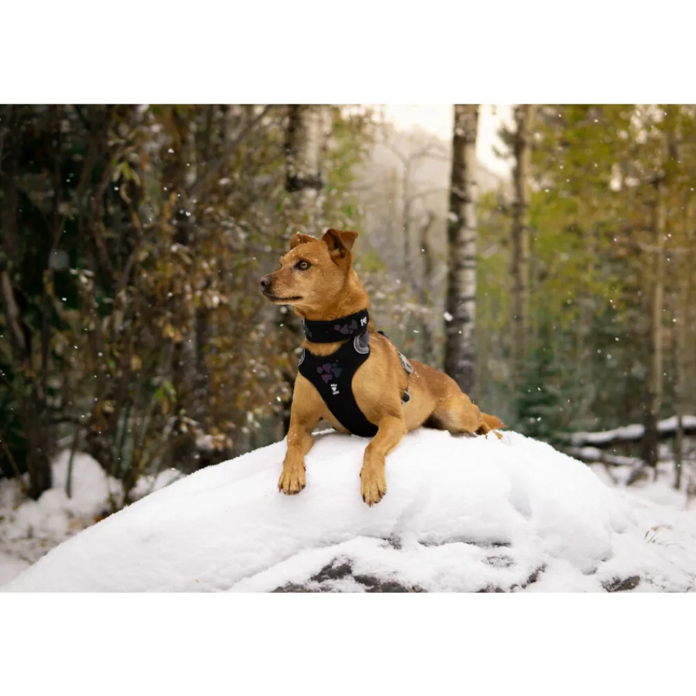 Halsbanden & Uitlaten<Hurtta Weekend Warrior Harness Zwart 60 - 80 cm