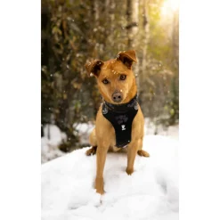 Halsbanden & Uitlaten<Hurtta Weekend Warrior Harness Zwart 60 - 80 cm