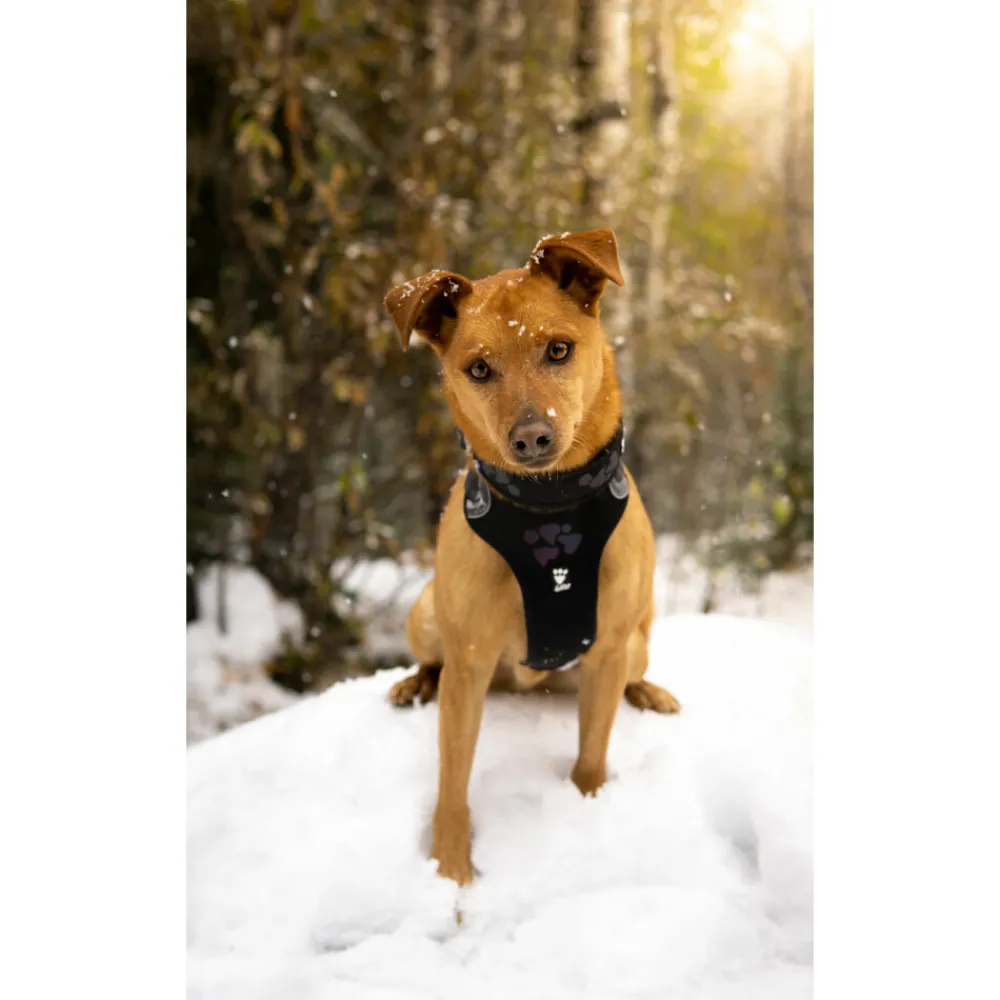 Halsbanden & Uitlaten<Hurtta Weekend Warrior Harness Zwart 60 - 80 cm